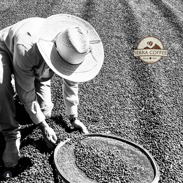 Grãos de café torrados artesanalmente